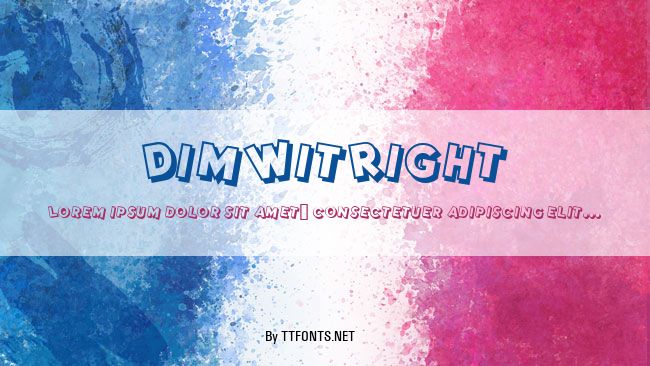 DimWitRight example