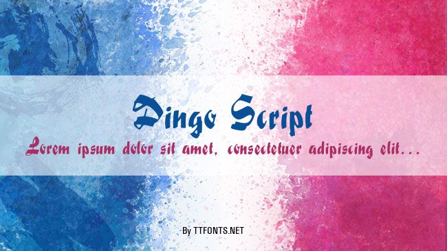Dingo Script example