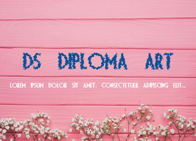 DS Diploma Art example