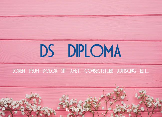 DS Diploma example