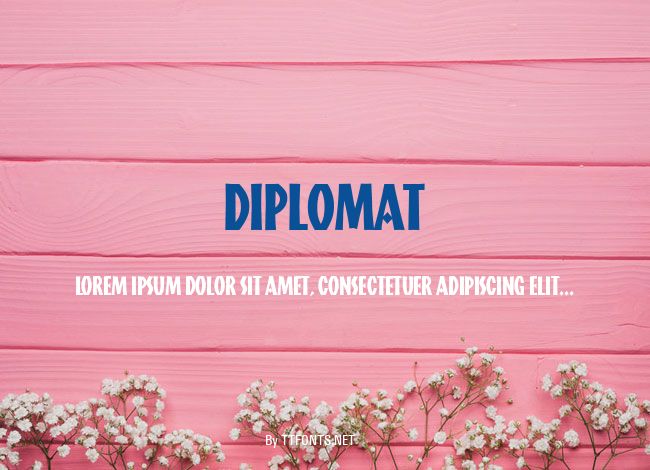 Diplomat example