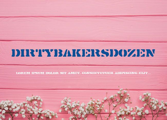 DirtyBakersDozen example
