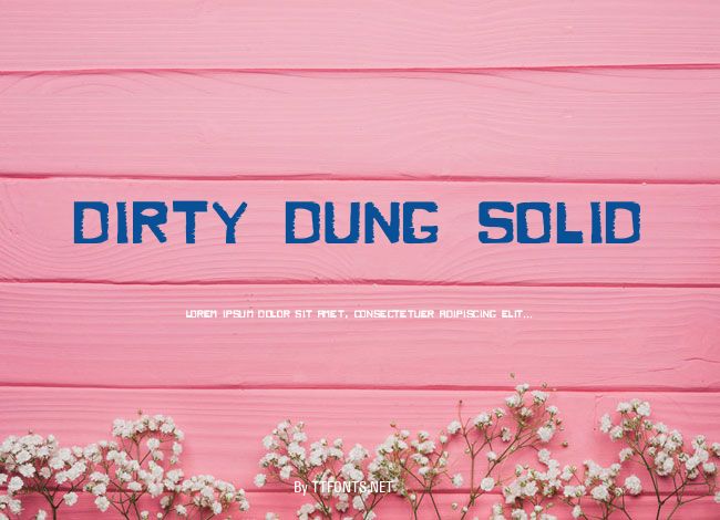Dirty Dung Solid example