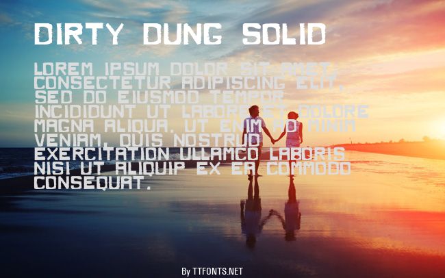 Dirty Dung Solid example