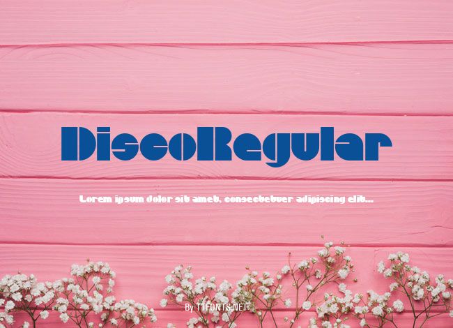 DiscoRegular example