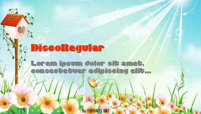 DiscoRegular example