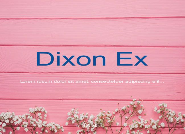 Dixon Ex example