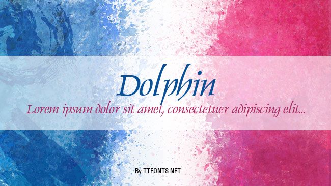 Dolphin example