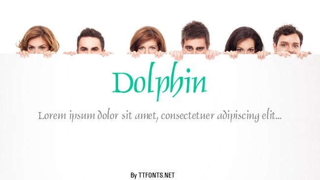 Dolphin example