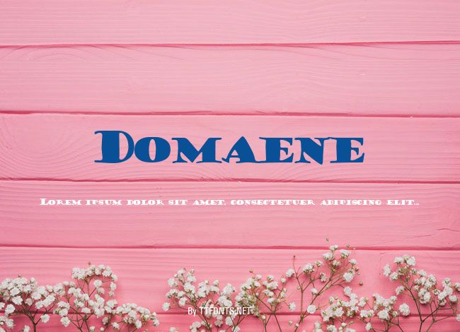 Domaene example