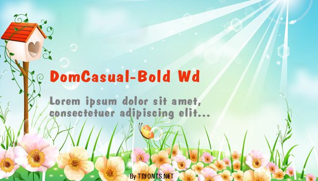 DomCasual-Bold Wd example