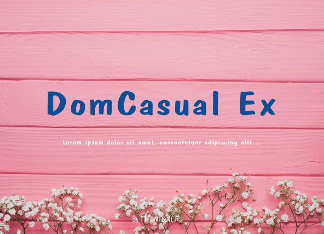DomCasual Ex example