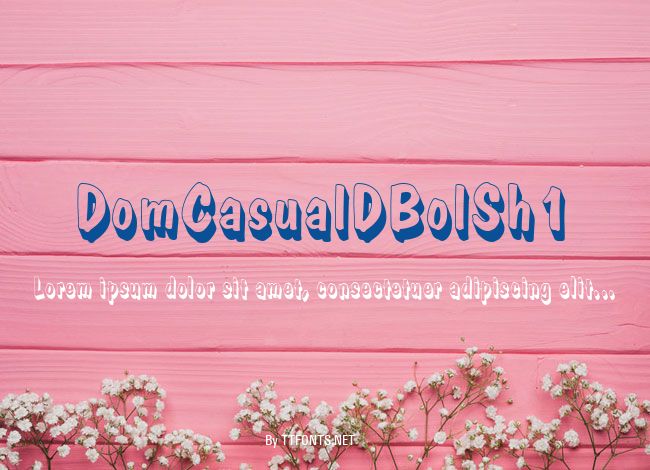 DomCasualDBolSh1 example