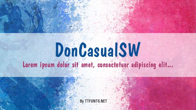 DonCasualSW example