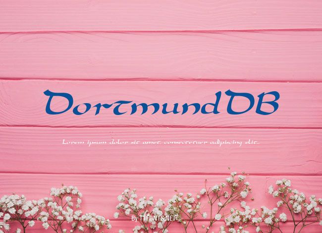 DortmundDB example