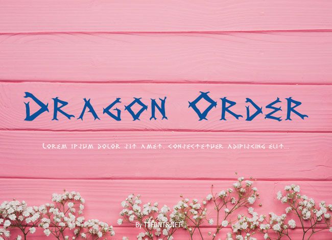 Dragon Order example