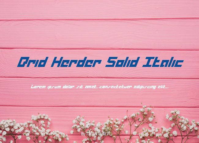 Drid Herder Solid Italic example