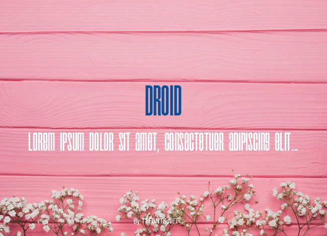 Droid example
