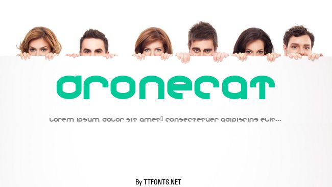 Dronecat example