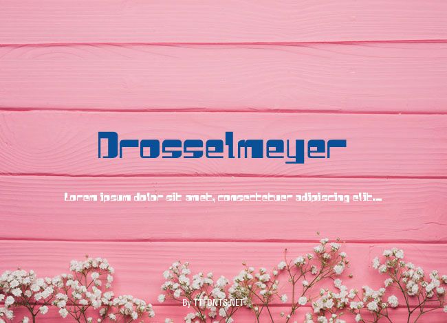 Drosselmeyer example