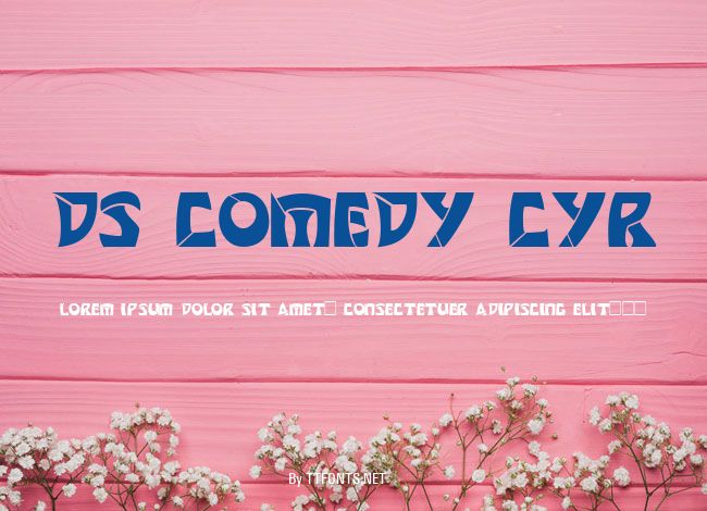 DS Comedy Cyr example
