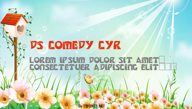 DS Comedy Cyr example