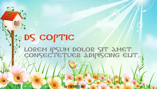 DS Coptic example
