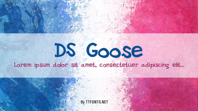 DS Goose example
