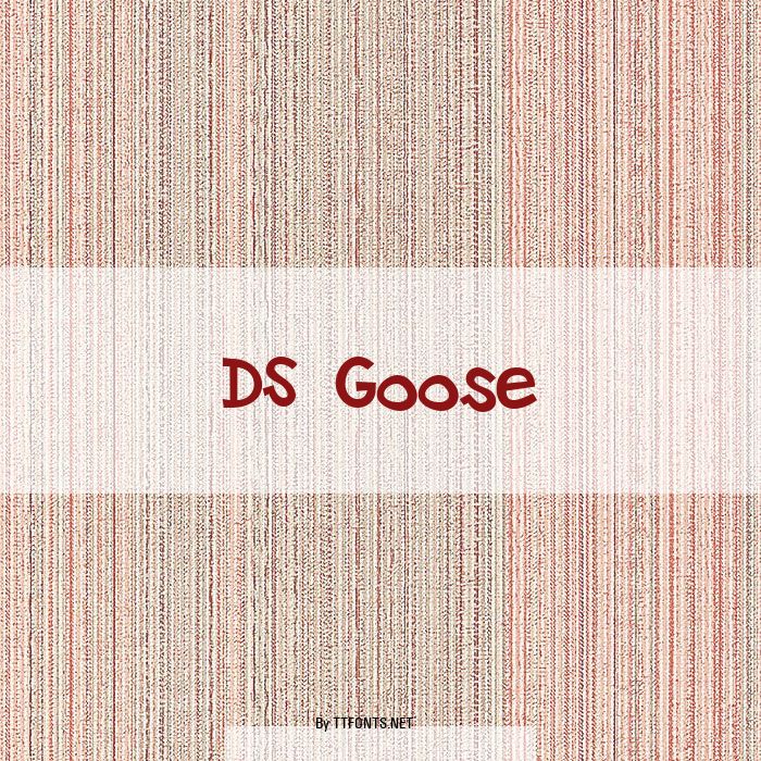 DS Goose example