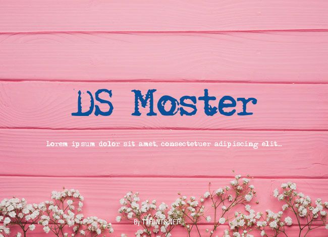 DS Moster example