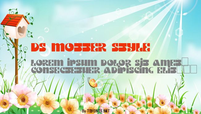 DS Motter Style example