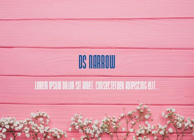 DS Narrow example
