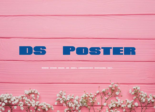 DS Poster example