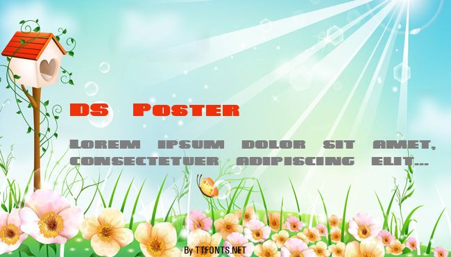 DS Poster example