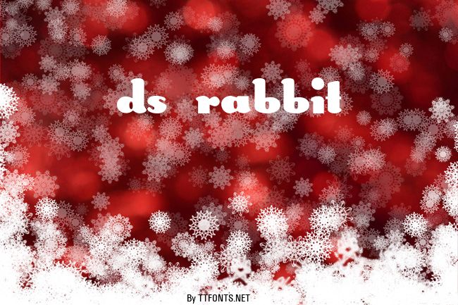 DS Rabbit example