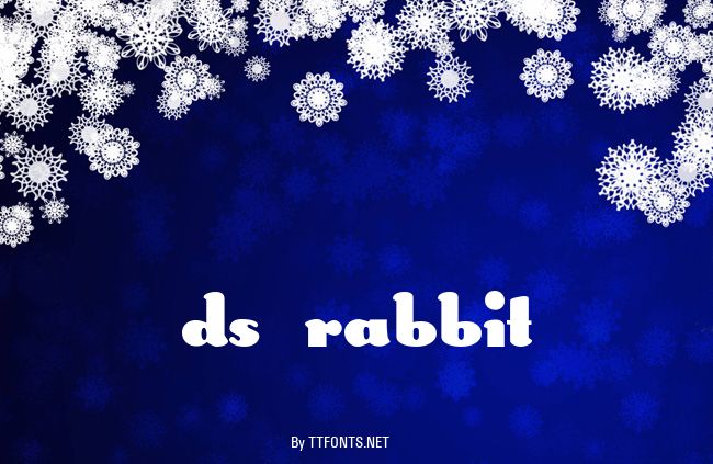 DS Rabbit example