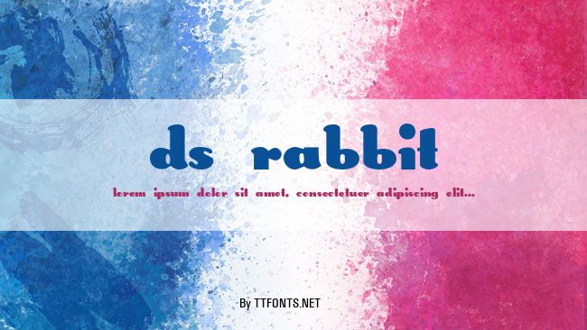 DS Rabbit example