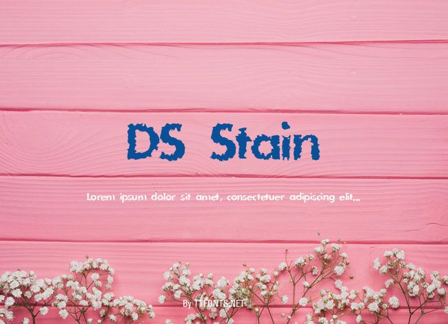 DS Stain example