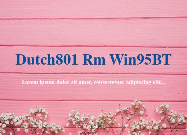 Dutch801 Rm Win95BT example