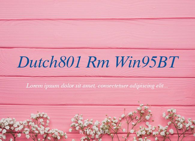 Dutch801 Rm Win95BT example