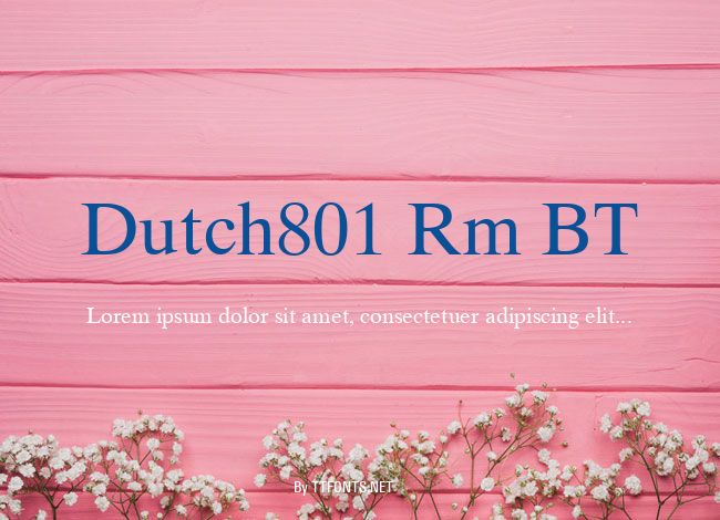 Dutch801 Rm BT example