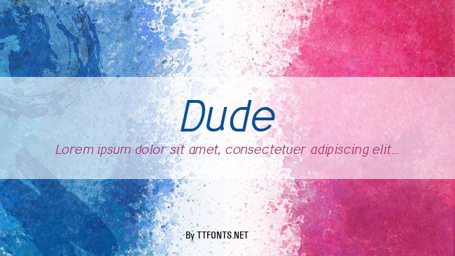 Dude example