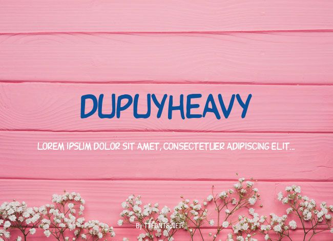 DupuyHeavy example