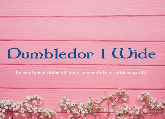 Dumbledor 1 Wide example