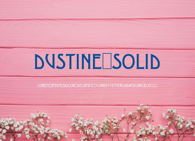 Dustine Solid example