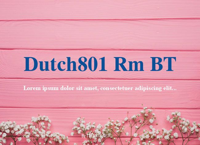 Dutch801 Rm BT example