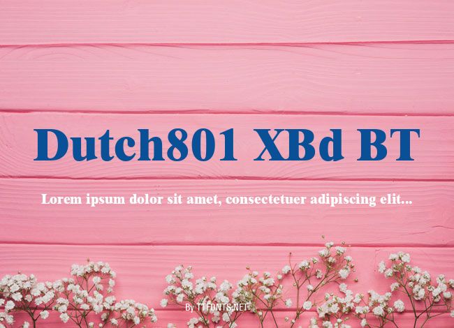 Dutch801 XBd BT example