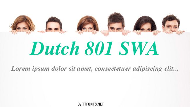 Dutch 801 SWA example