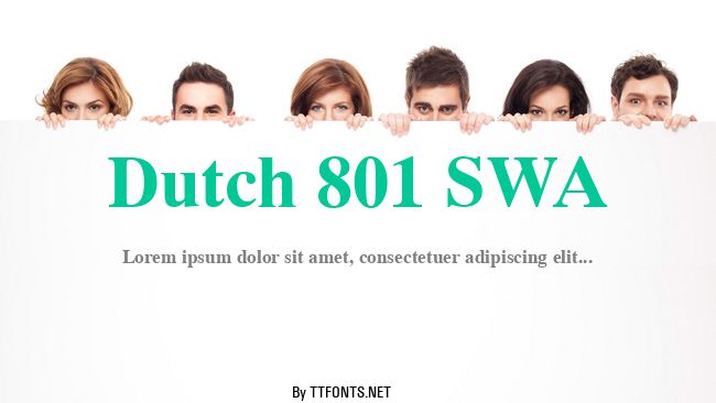 Dutch 801 SWA example