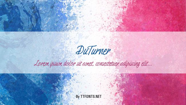 DuTurner example